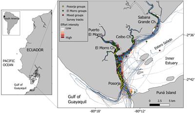 Imminent Risk of Extirpation for Two Bottlenose Dolphin Communities in the Gulf of Guayaquil, Ecuador